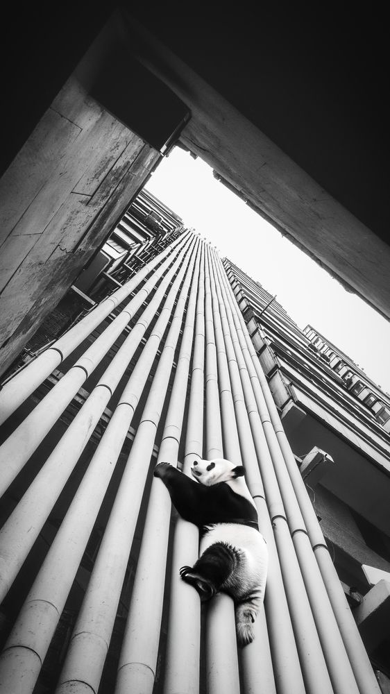 Фотография автора Андрей Жуков