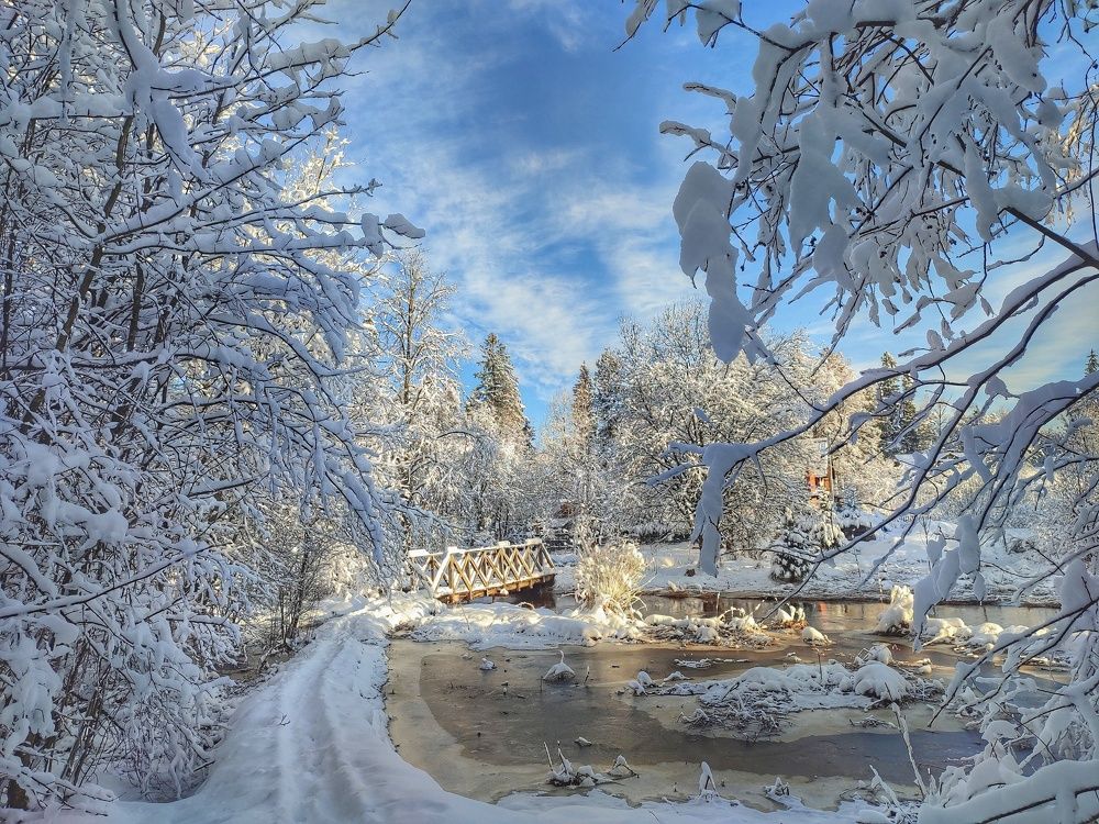 Photograph by Татьяна