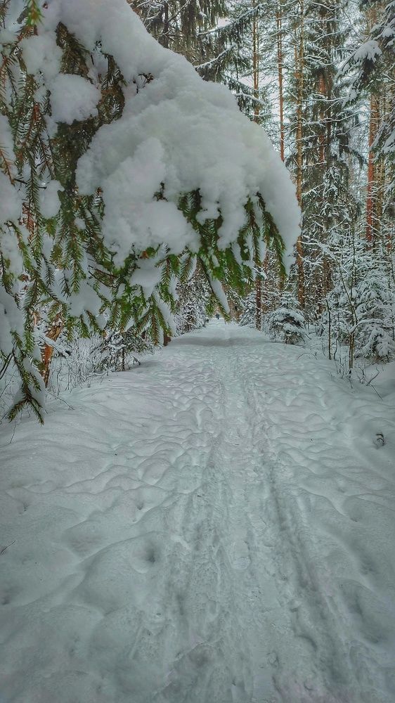 Photograph by Татьяна