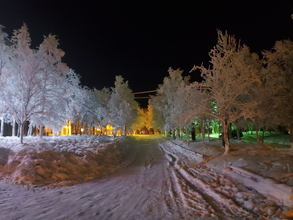 Photograph by MAKSIM MARKOV