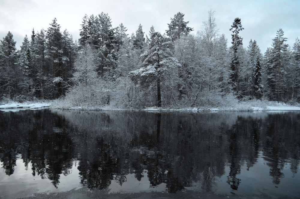 Photograph by Margareth