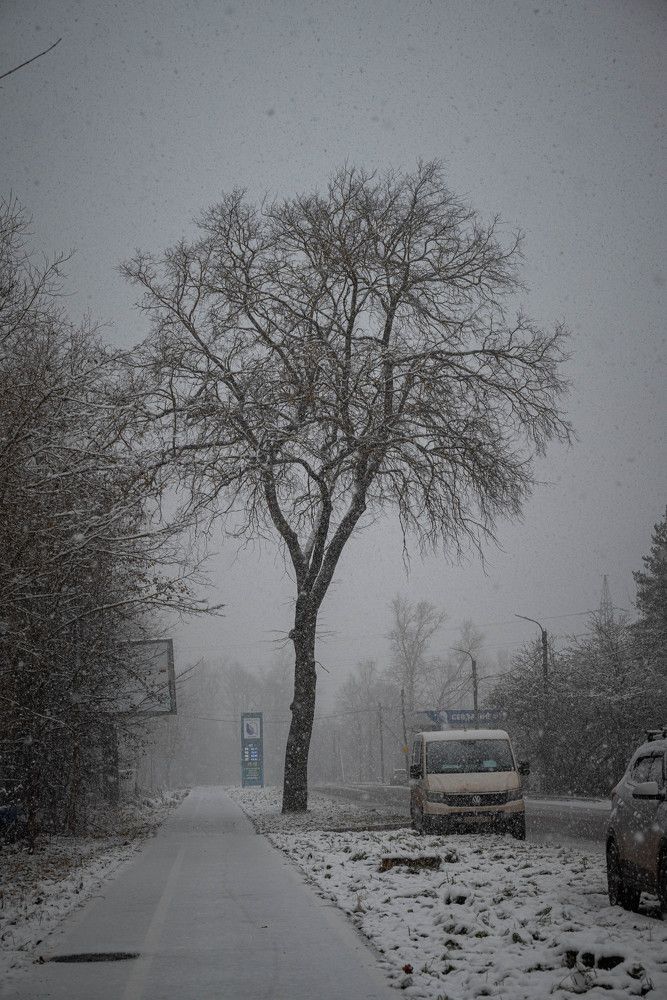 Photograph by Сергей Зимин