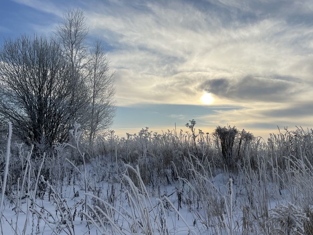 Photograph by Ирина Сбоева