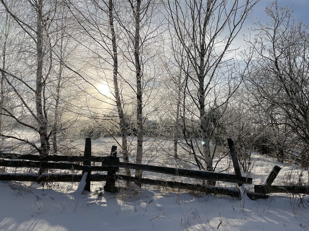 Photograph by Ирина Сбоева