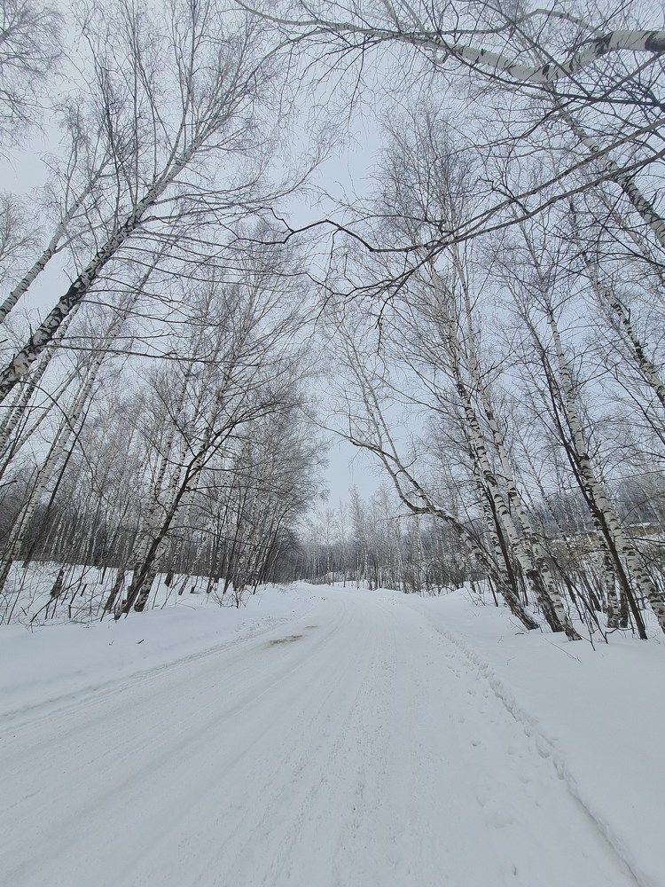 Photograph by Tatiana Denisova