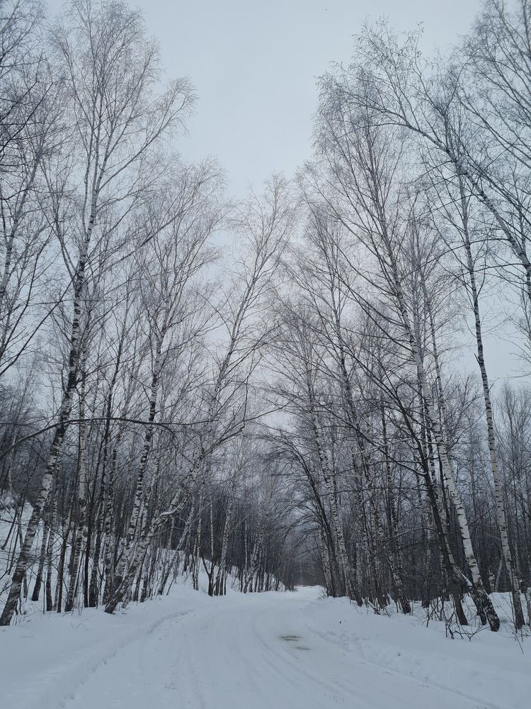 Photograph by Tatiana Denisova