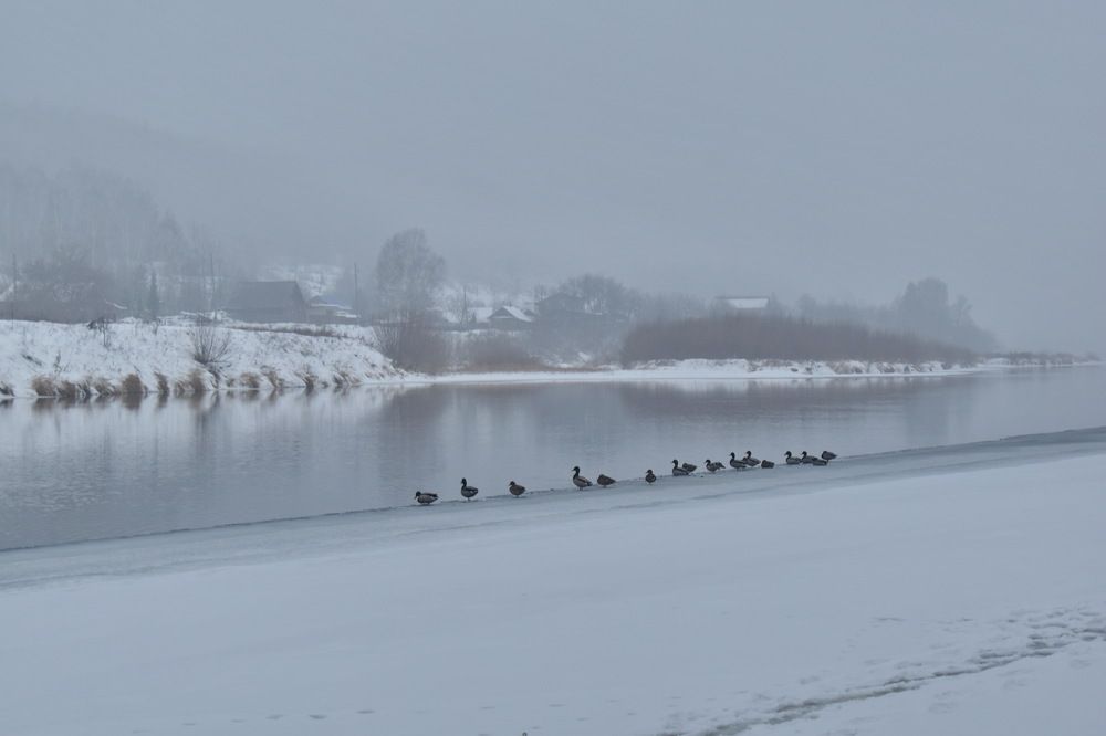 Photograph by Роман Пацкевич