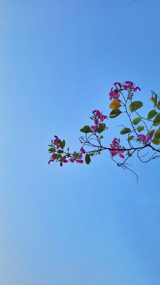 Photograph by Prathamesh Gite