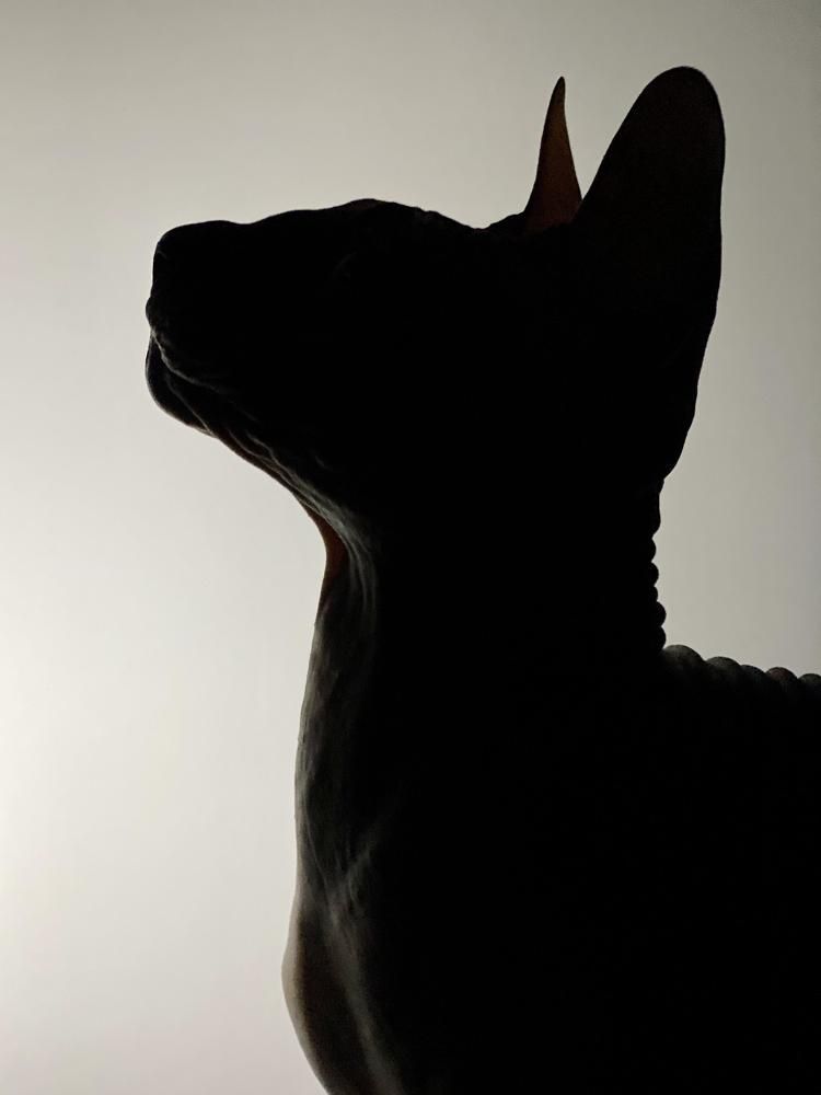 Фотография автора Александра Рябова