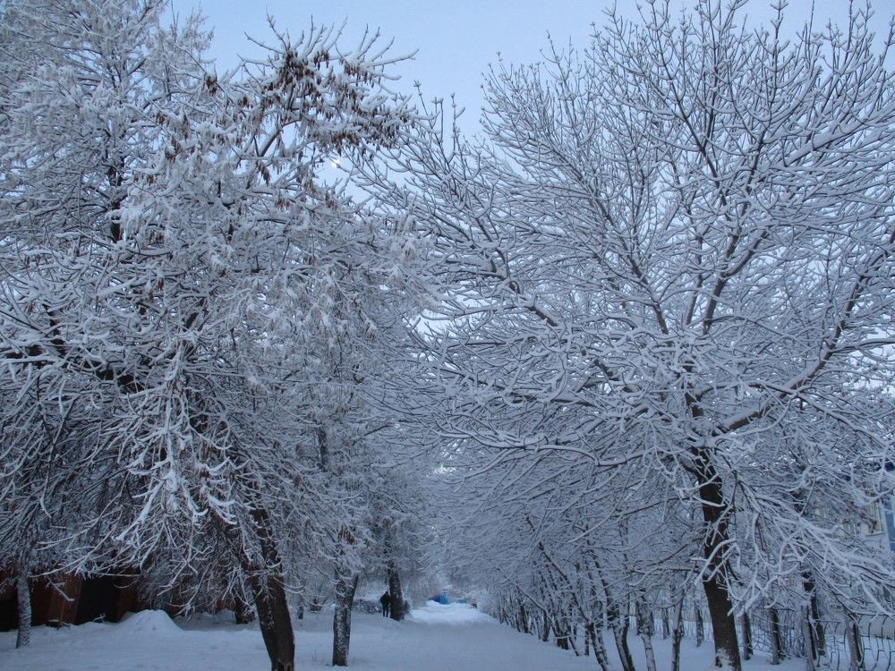 Photograph by Татьяна Иваненкова