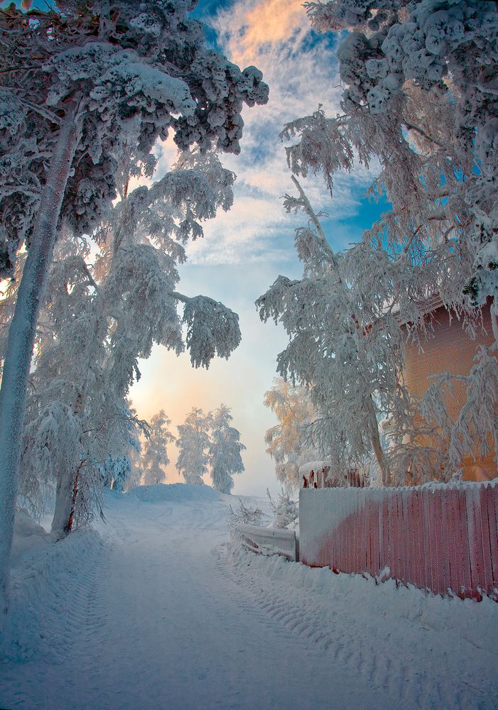 Photograph by Виктор Ухачев