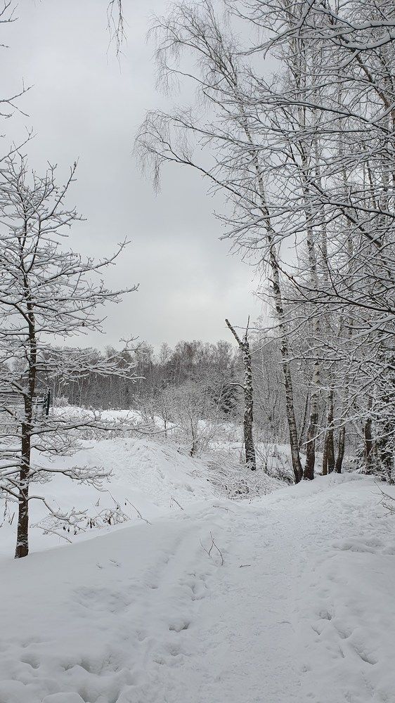 Photograph by Алёна Старикова