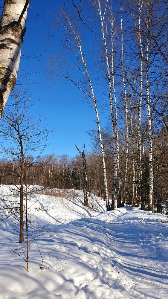 Photograph by Алёна Старикова