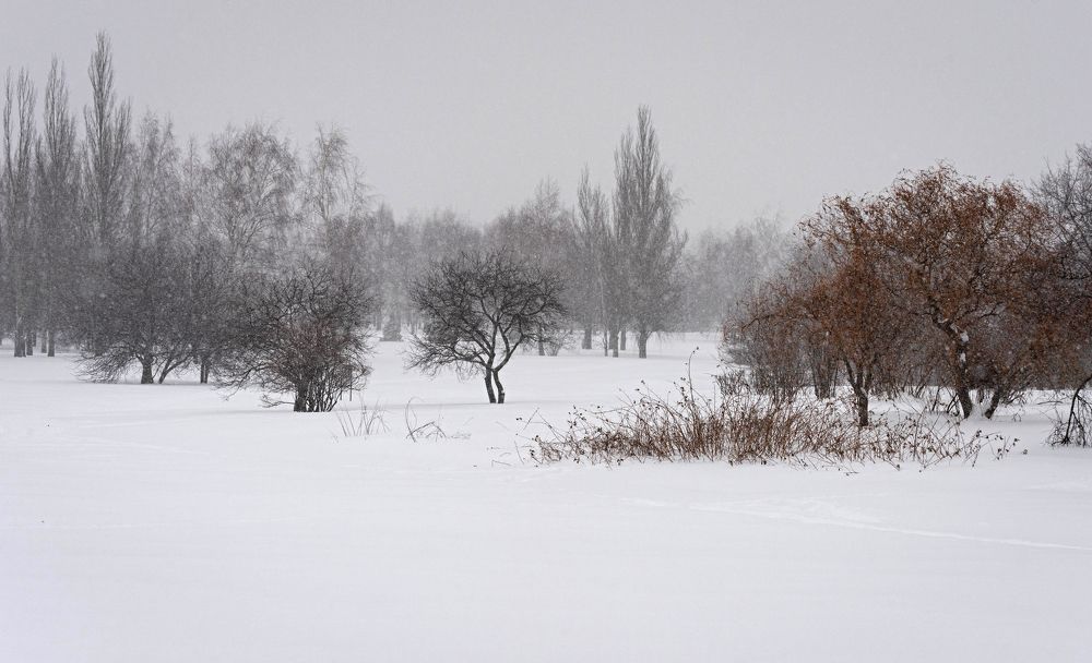 Photograph by Сергей Басов