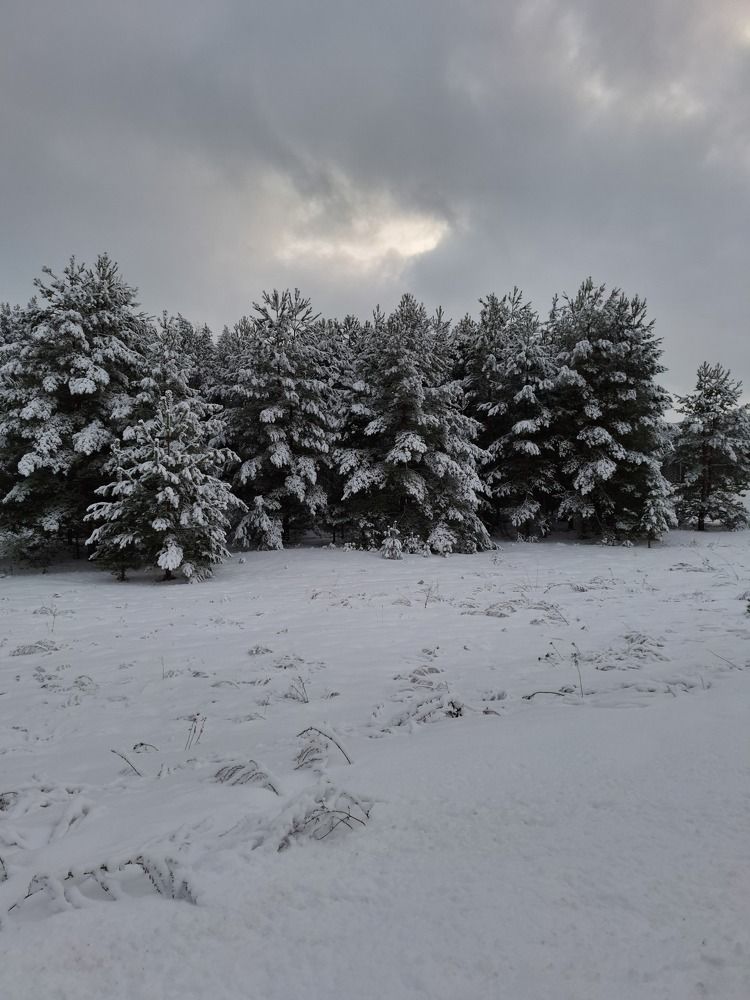 Photograph by Ольга Карева