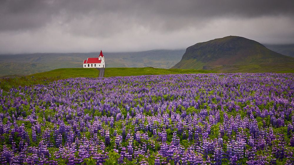 Photograph by ANDREA DUBLASKI