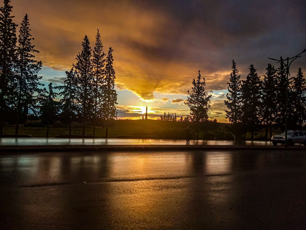 Photograph by Sara Bounab