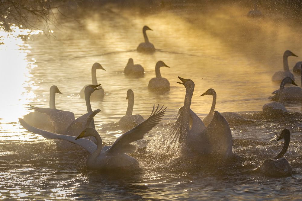 Photograph by Евгений Санин