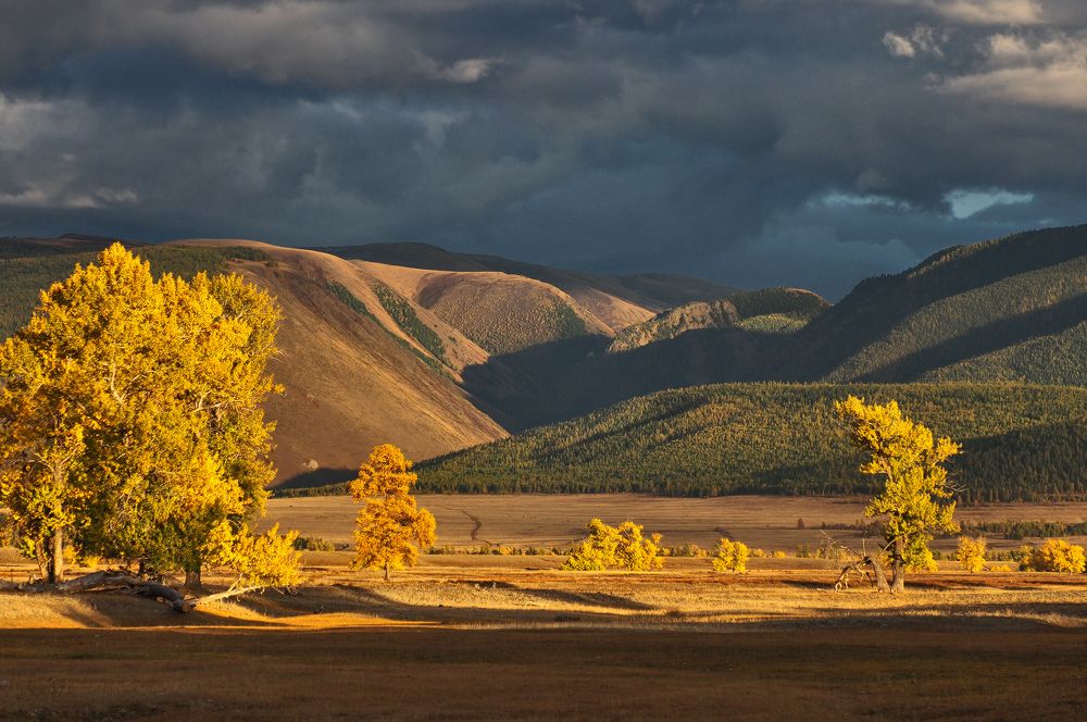 Photograph by Галина Хвостенко