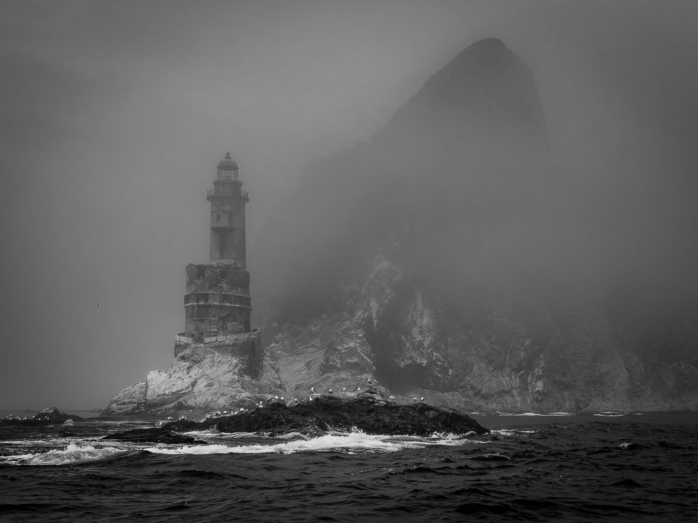 Photograph by Дмитрий Потапов