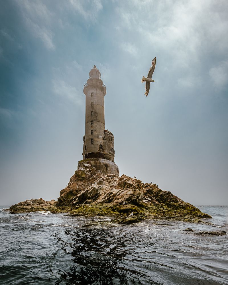 Photograph by Дмитрий Потапов