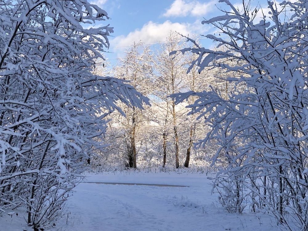 Photograph by Елена Солодовник