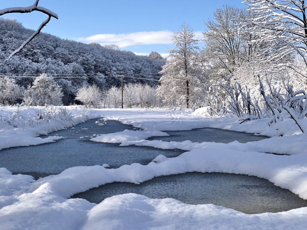 Photograph by Елена Солодовник