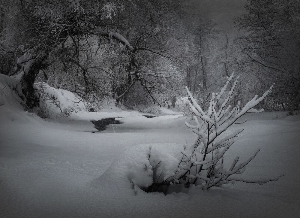 Photograph by Баранов Олег