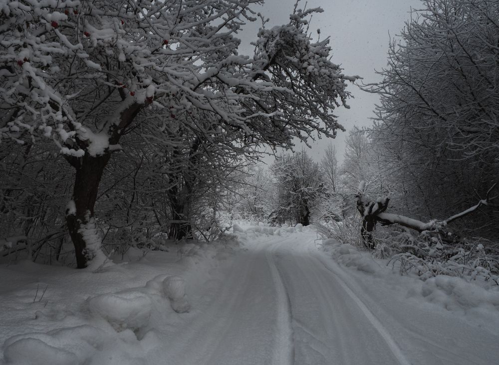 Photograph by Баранов Олег