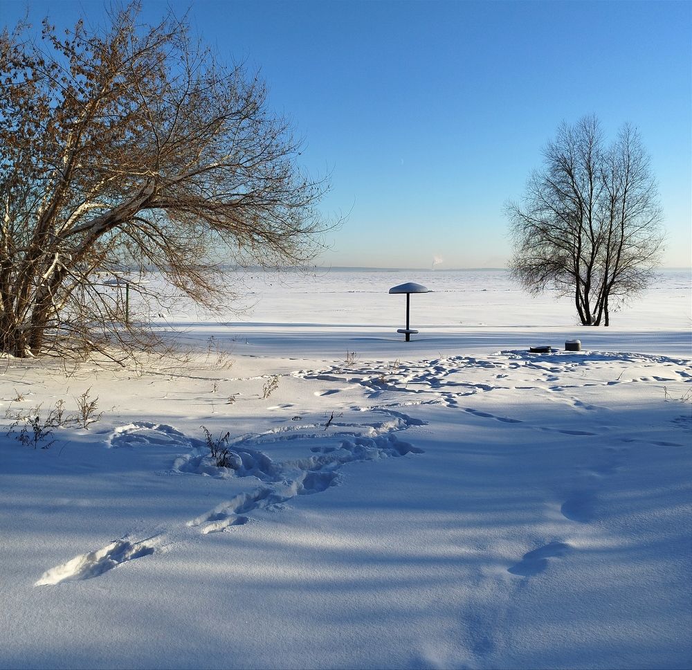 Photograph by Ирина Попелкова