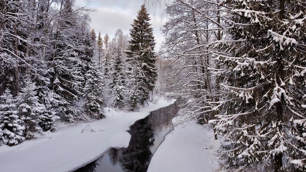 Photograph by Valeria D