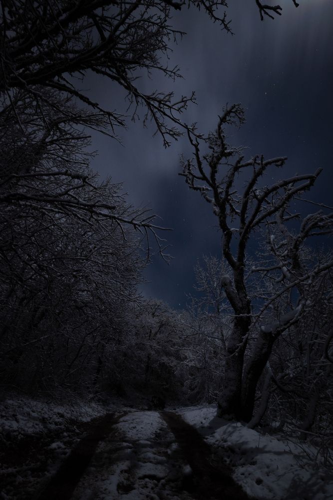 Photograph by Гибина Екатерина