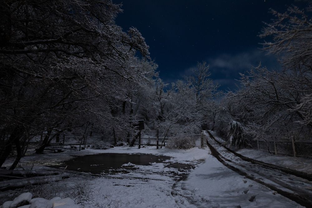 Photograph by Гибина Екатерина