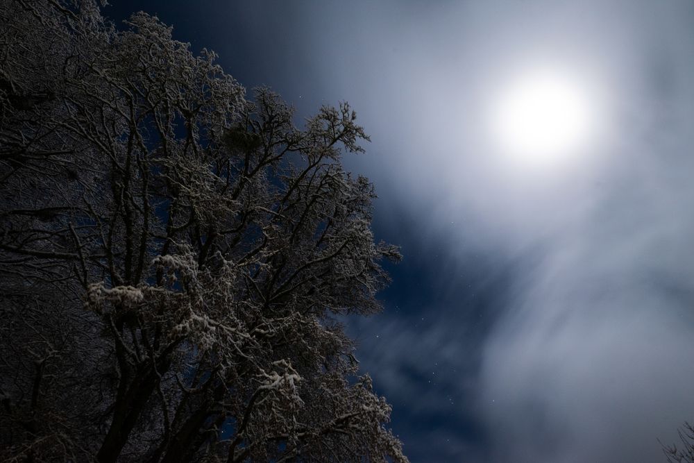 Photograph by Гибина Екатерина