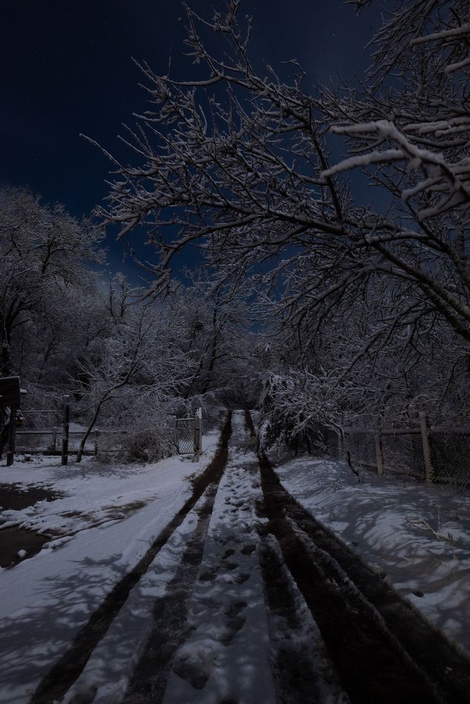 Photograph by Гибина Екатерина