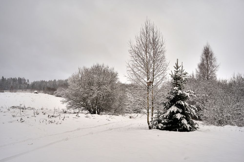 Photograph by Aleksandras Meisutovicius