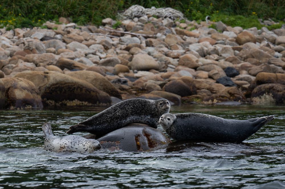 Photograph by Вика Нова