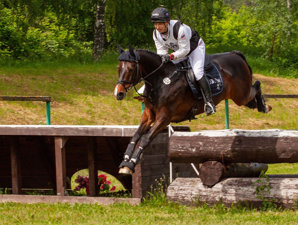 Photograph by Ольга Заповедная