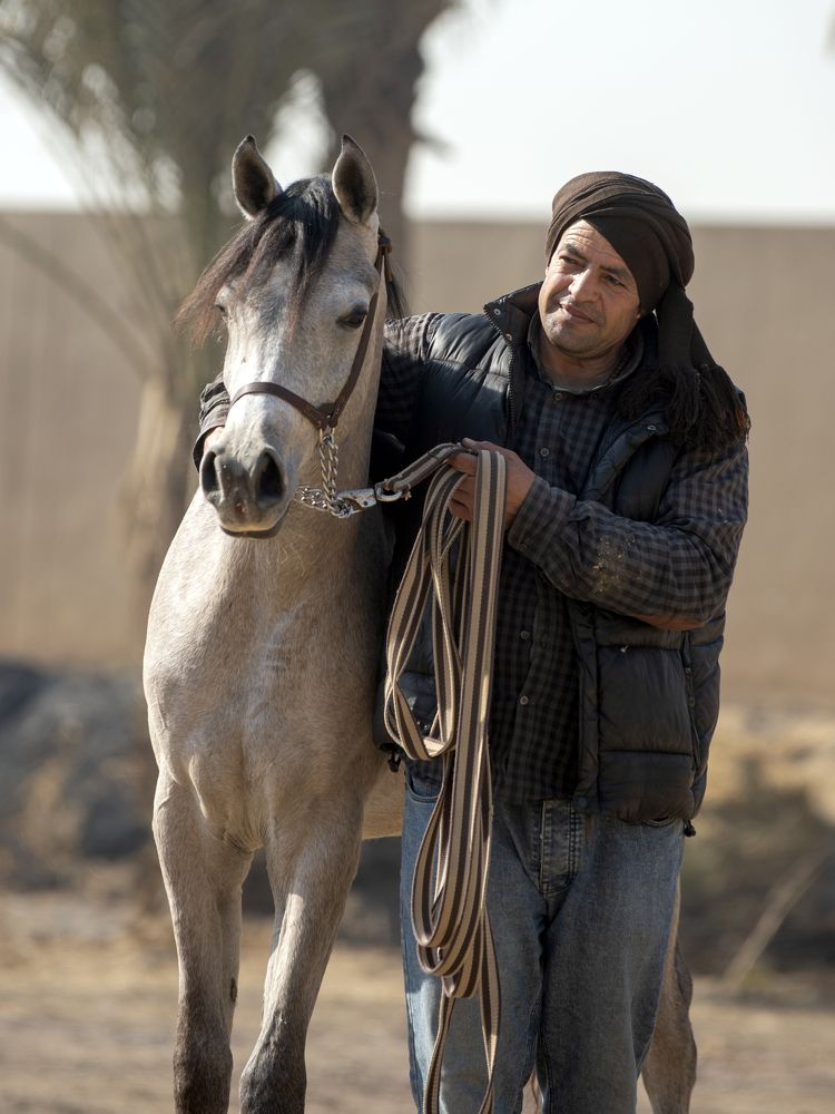 Photograph by Galal Missary