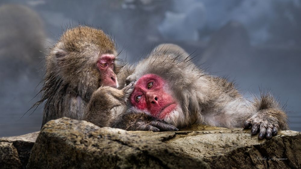 Photograph by Николай Мозгунов