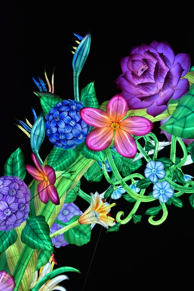 Photograph by Ivo Damen