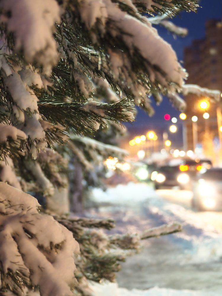 Photograph by Ольга Неведрова