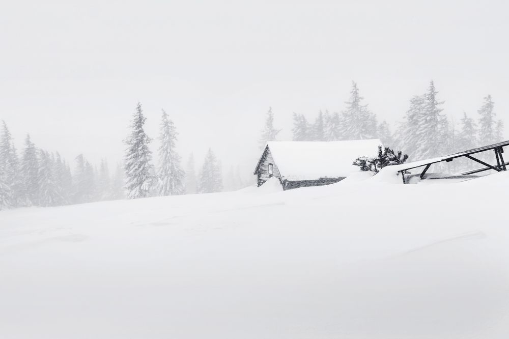 Photograph by Денис Полтораднев