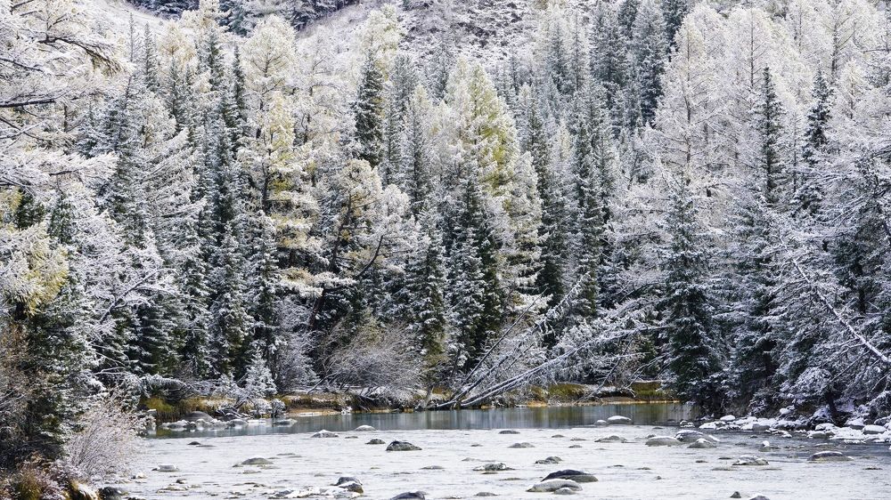 Photograph by Кузнецов Андрей