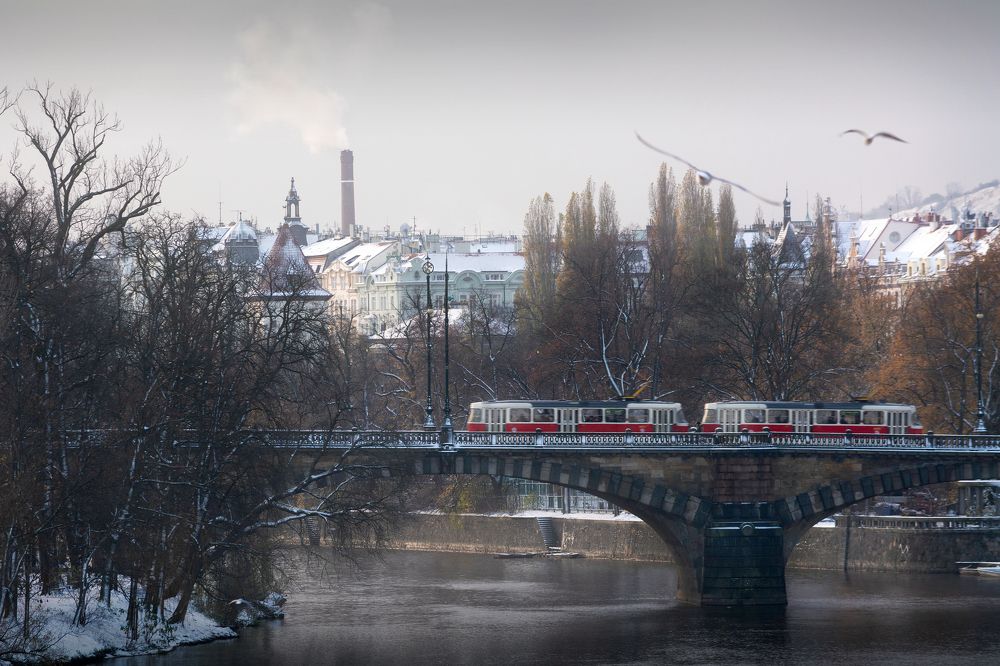 Photograph by Денис Полтораднев