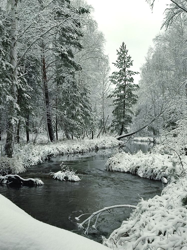 Photograph by Юлия Гинтер