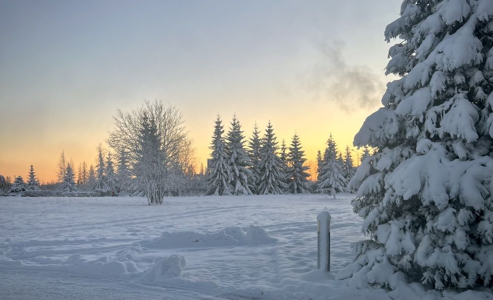 Photograph by Елена Ковалева