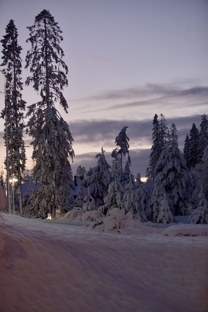 Photograph by Елена Ковалева