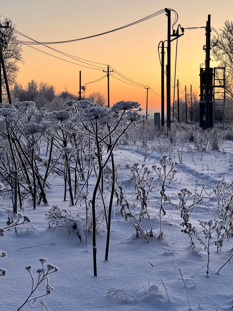 Photograph by Елена Ковалева