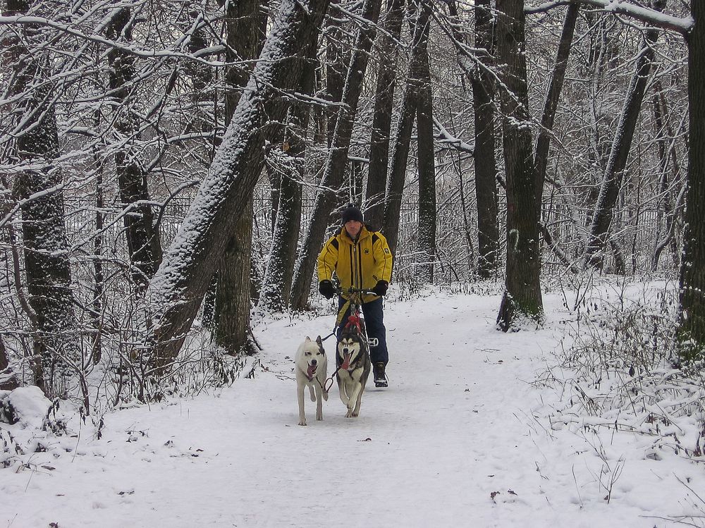 Photograph by Елена Шахова